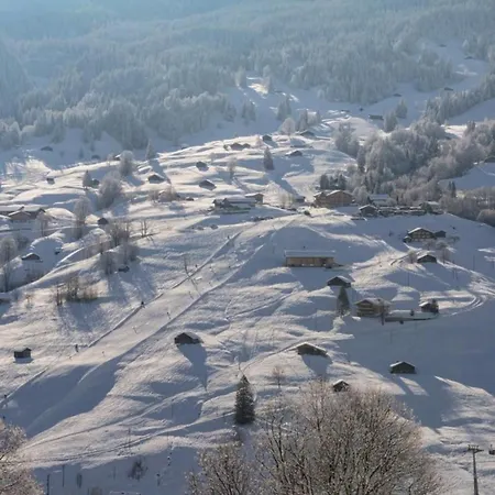 Burgstein, Enzian 公寓