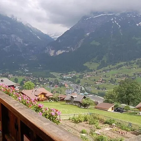 Burgstein, Enzian 公寓 格林德瓦